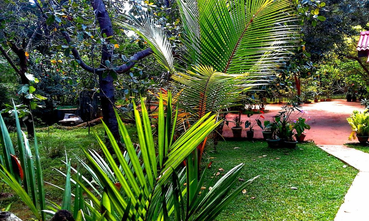 Nethmi Homestay Sigiriya Exterior photo